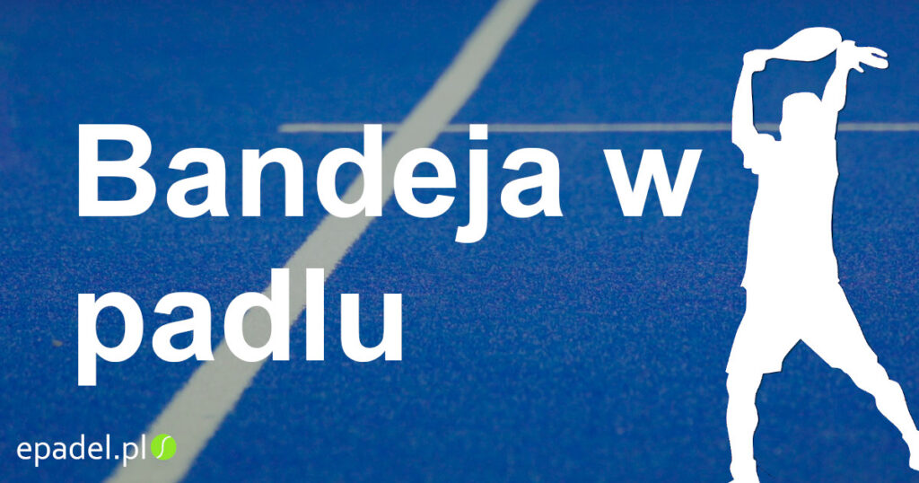 bandeja w padlu